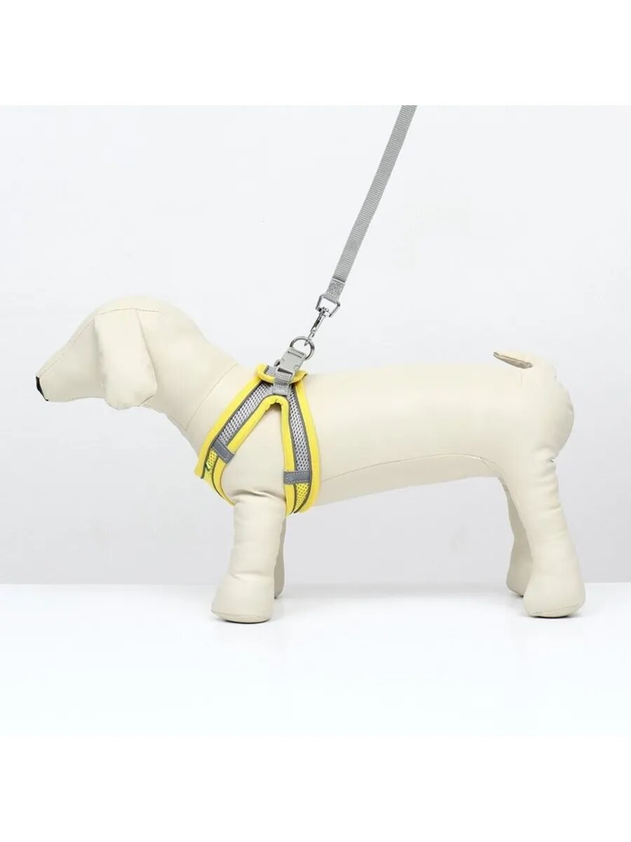 Комфортный мягкий комплект для прогулок, XXS