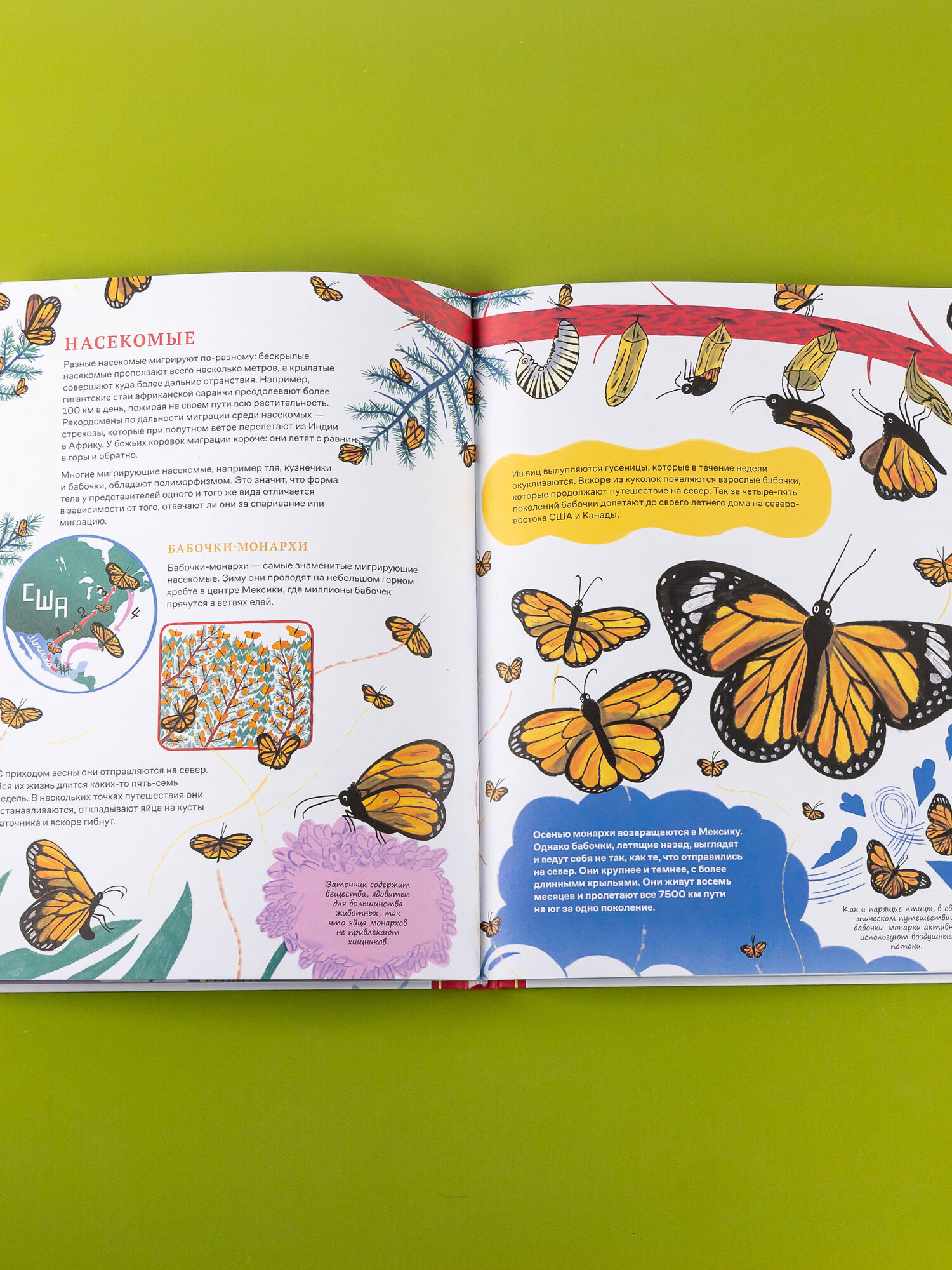 Невероятные странствия животных : навигация и миграция по воздуху, суше и морю - фото №6