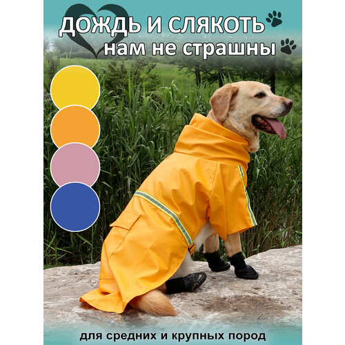 Дождевик Rexy crew со светоотражающими лентами, одежда для собак средних и крупных пород , цвет оранжевый, размер 2XL
