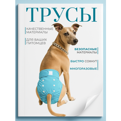 Трусы для собаки во время течки многоразовые S, подгузники для собак миниатюрных пород впитывающие