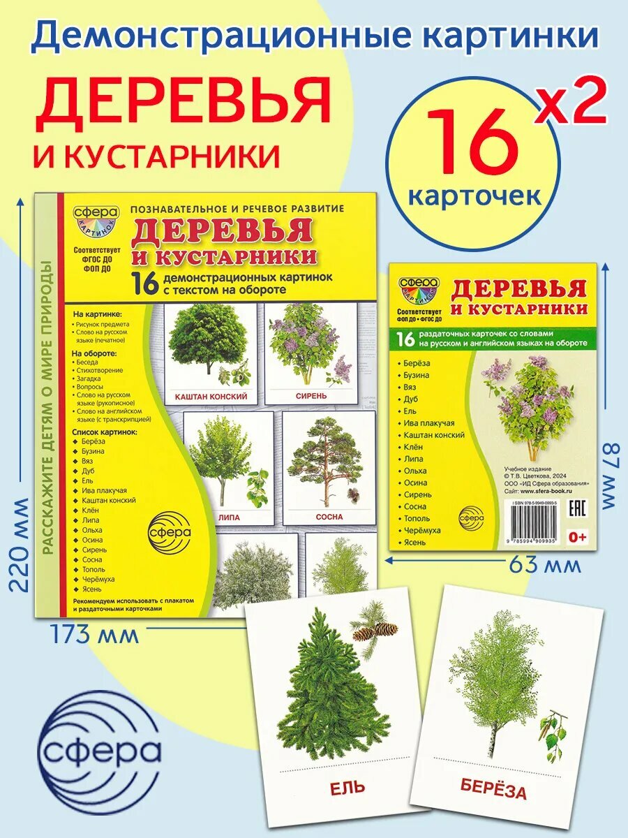Т. В. Цветкова. Демонстрационные картинки "Деревья и кустарники" (2 формата). Познавательное и речевое развитие