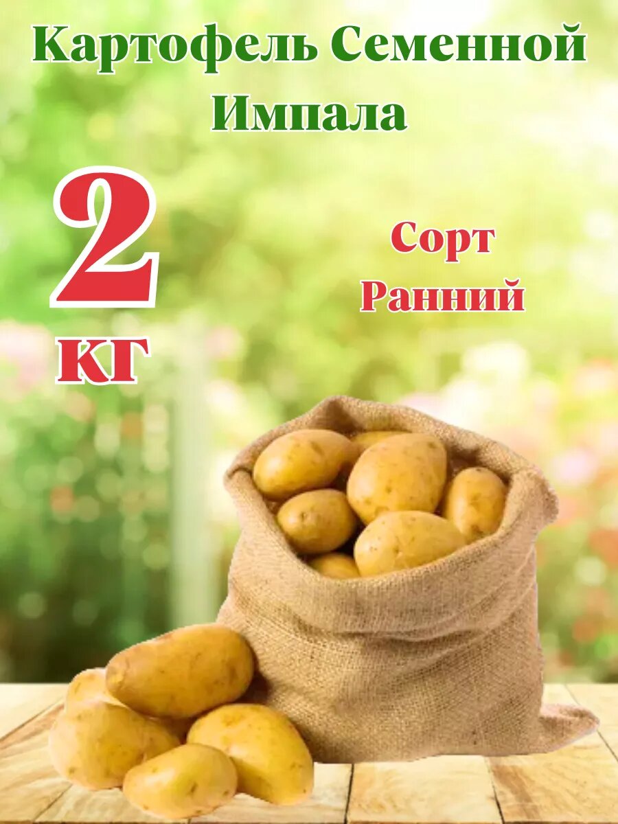 Картофель Семенной Импала 2кг