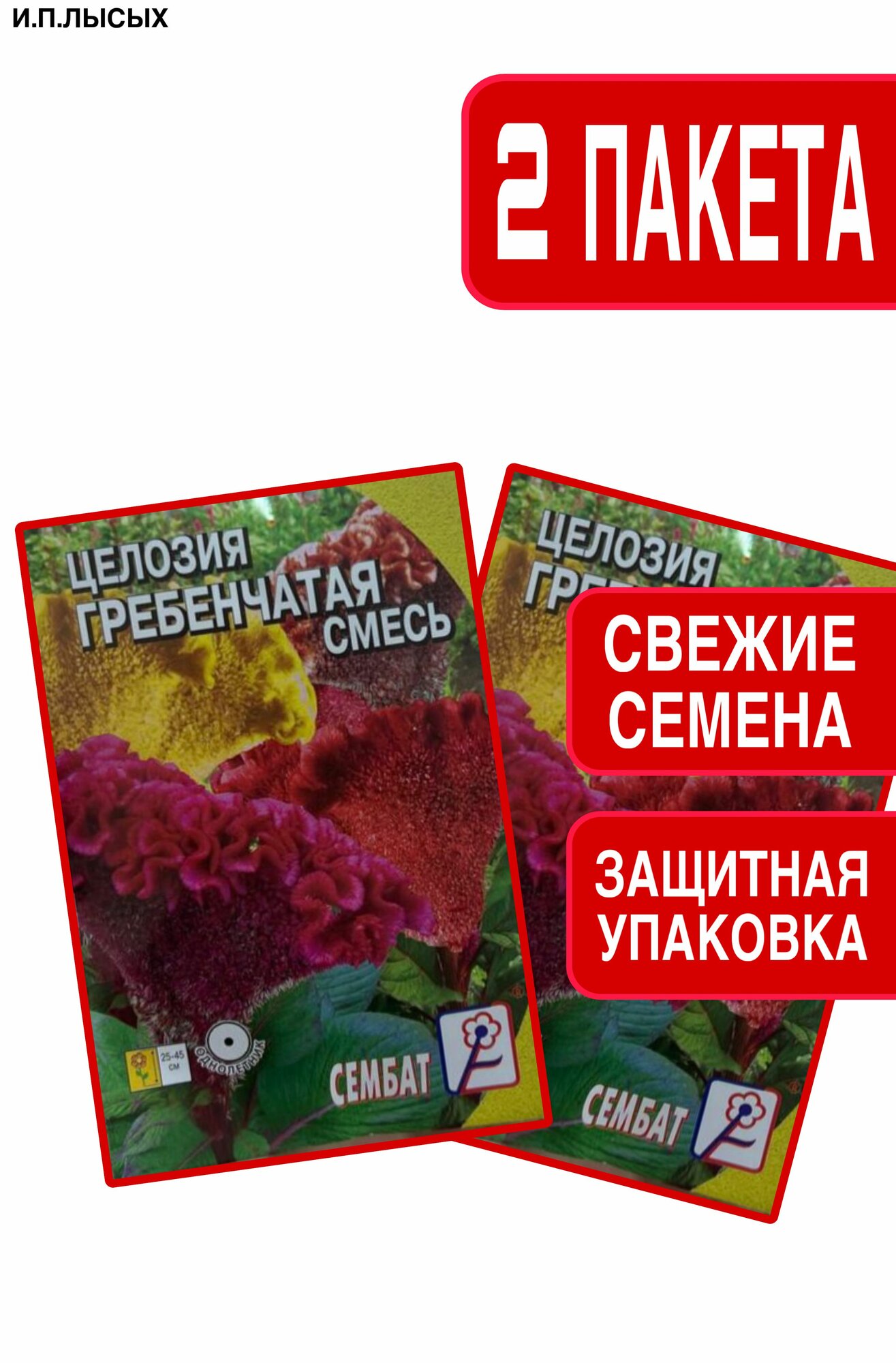 Семена Целозия 