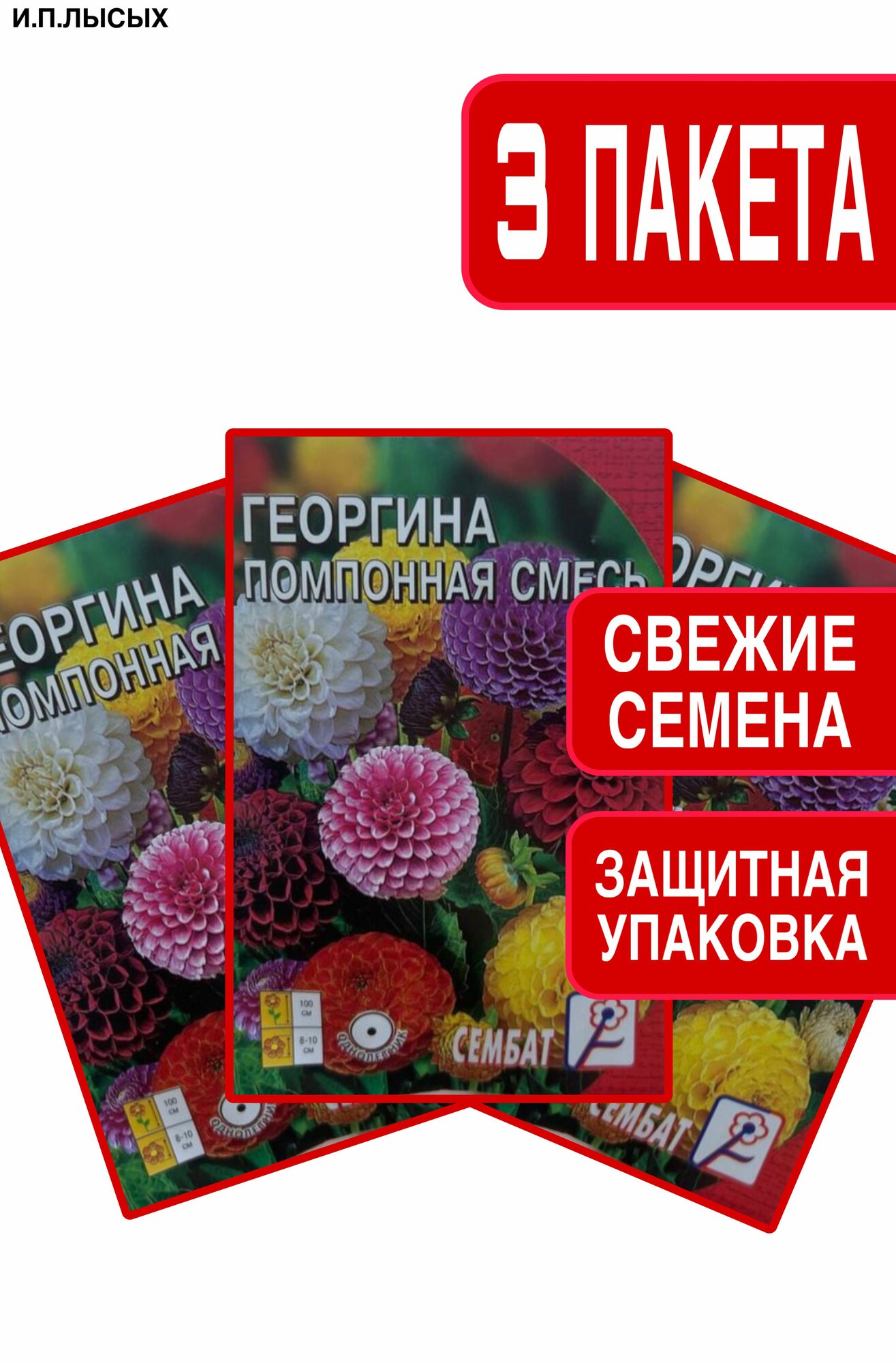 Семена Георгина 