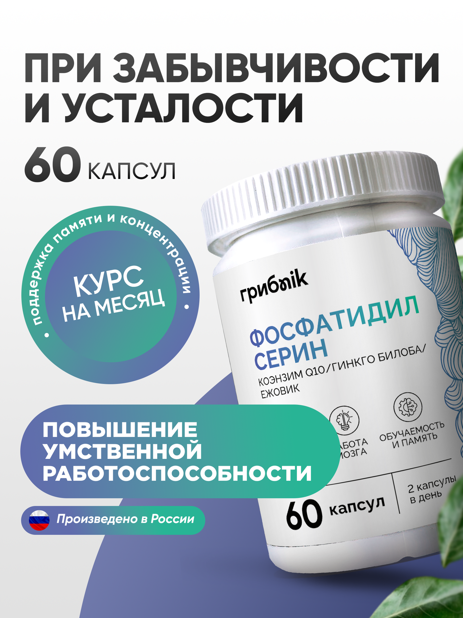 Фосфатидилсерин + ежовик гребенчатый + коэнзим q10 + гинкго билоба, для мозга 60 капсул, ГрибNik