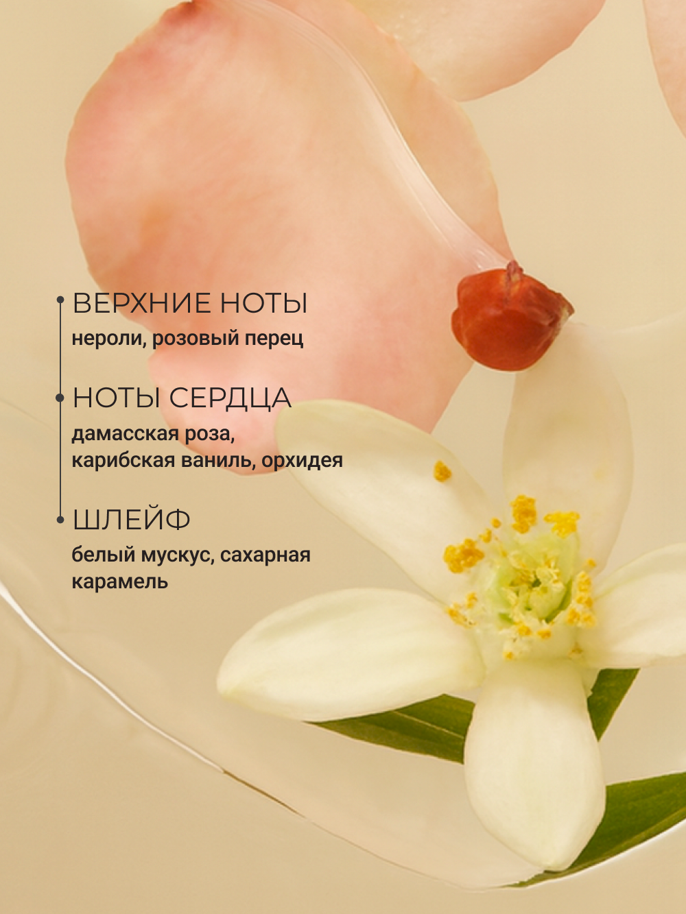 ZEITUN Молочко для тела увлажняющее против сухости, парфюмированное с ароматом розы, 200 мл — фото 1