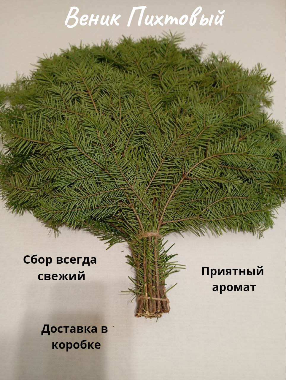 Веник для бани пихтовый свежий сбор