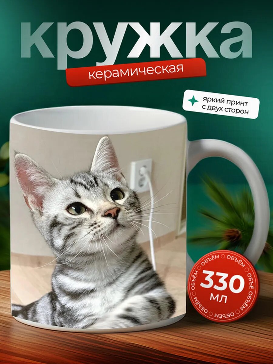 Кружка Американская короткошерстная кошка 57,