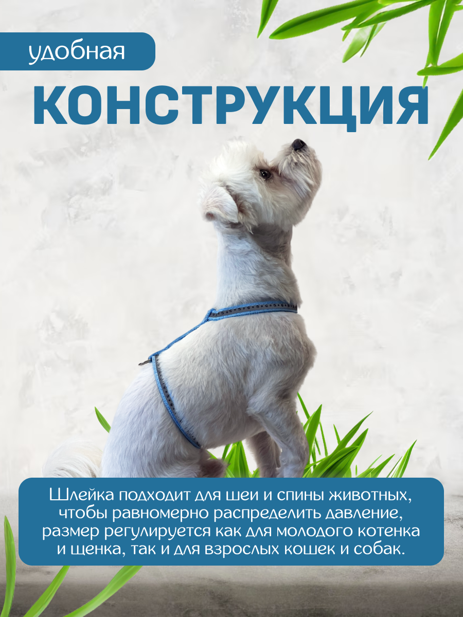 Светоотражающая шлейка с поводком ZooWell для кошек универсальная, шлейка для кошек — фото 1