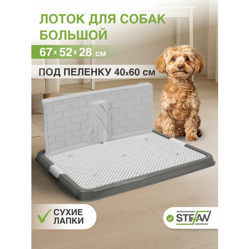 Туалет-лоток со стенкой для собак STEFAN, большой (L) 67х52х28, бело-серый, BP1311GW