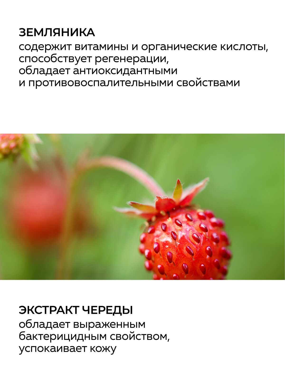Косметика Для Кормящих Тоник для сухой и нормальной кожи GREEN MAMA земляника и череда 200 мл