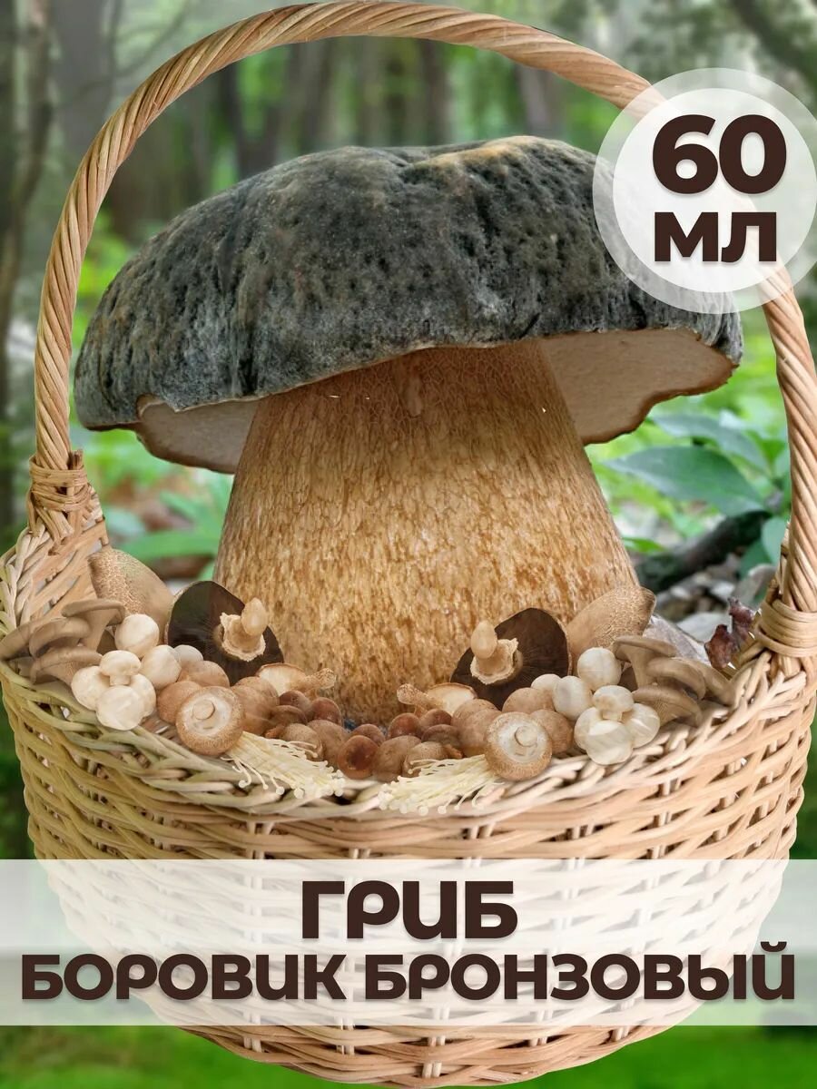 Мицелий гриба на торфе 