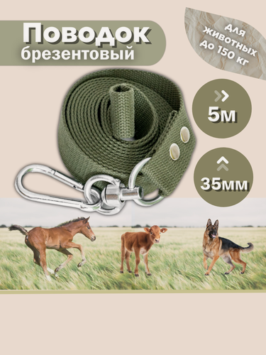 Изображение товара Поводок для крупных собак брезентовый 5 метров 35 мм (зелёный)