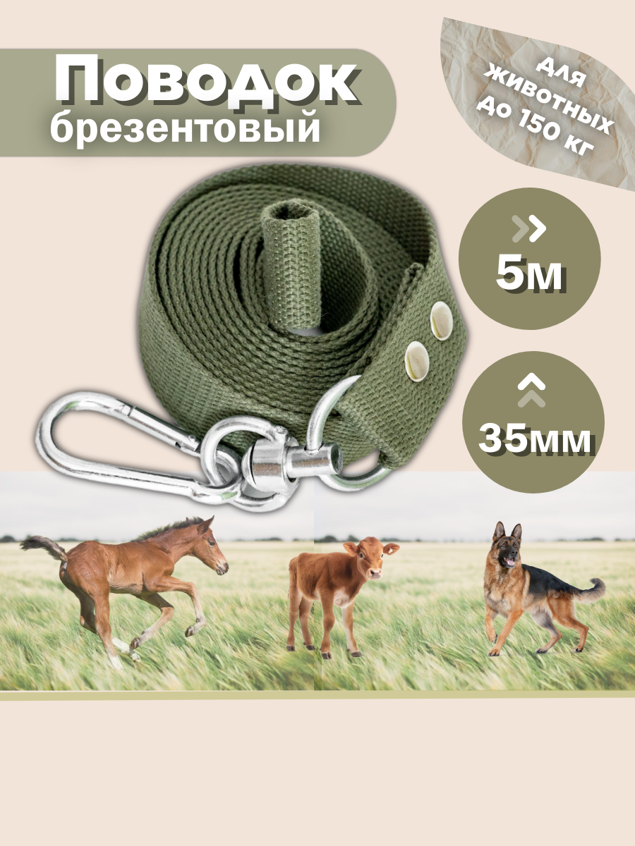 Поводок для крупных собак брезентовый 5 метров 35 мм (зелёный)