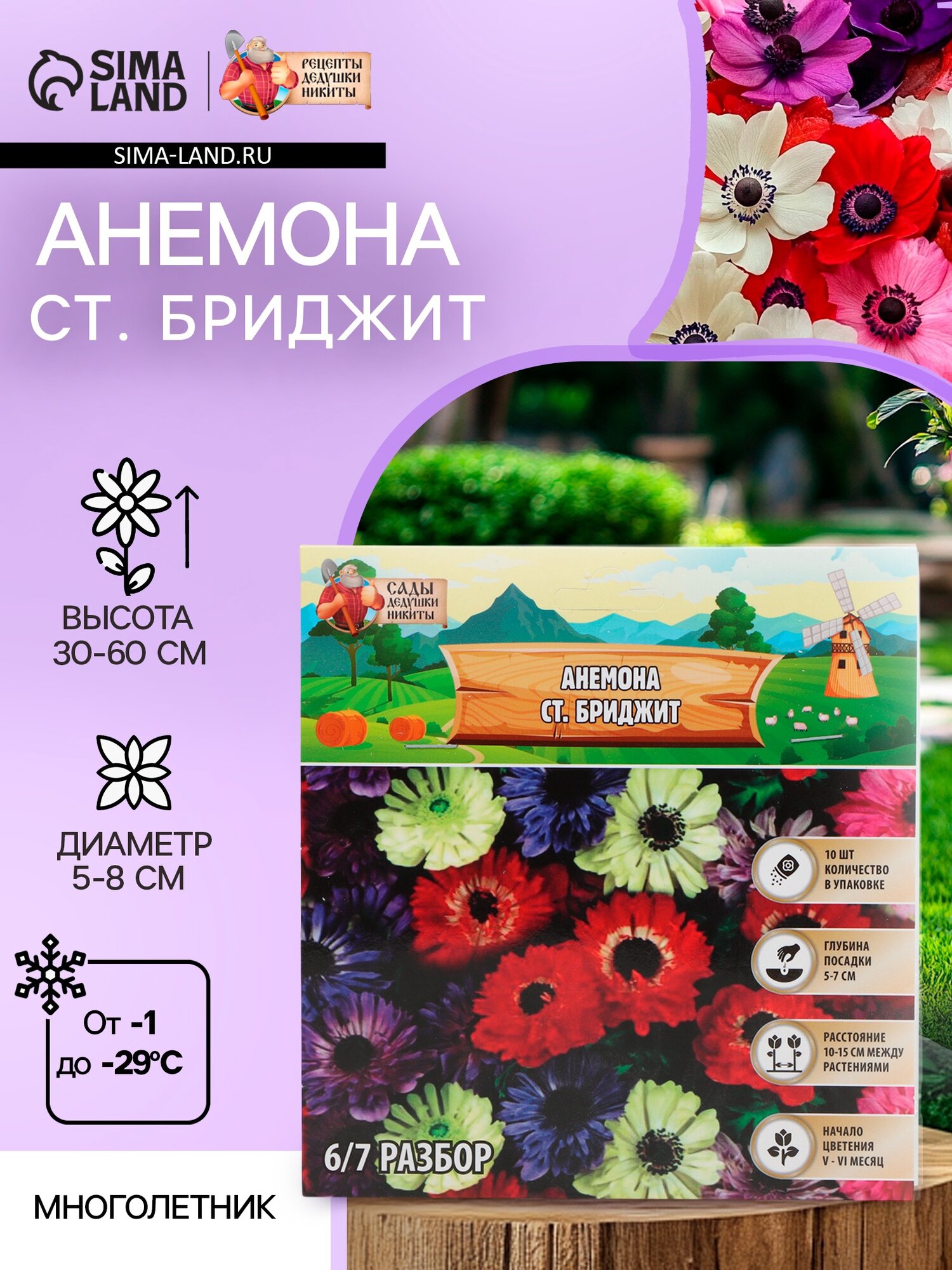 Анемона 