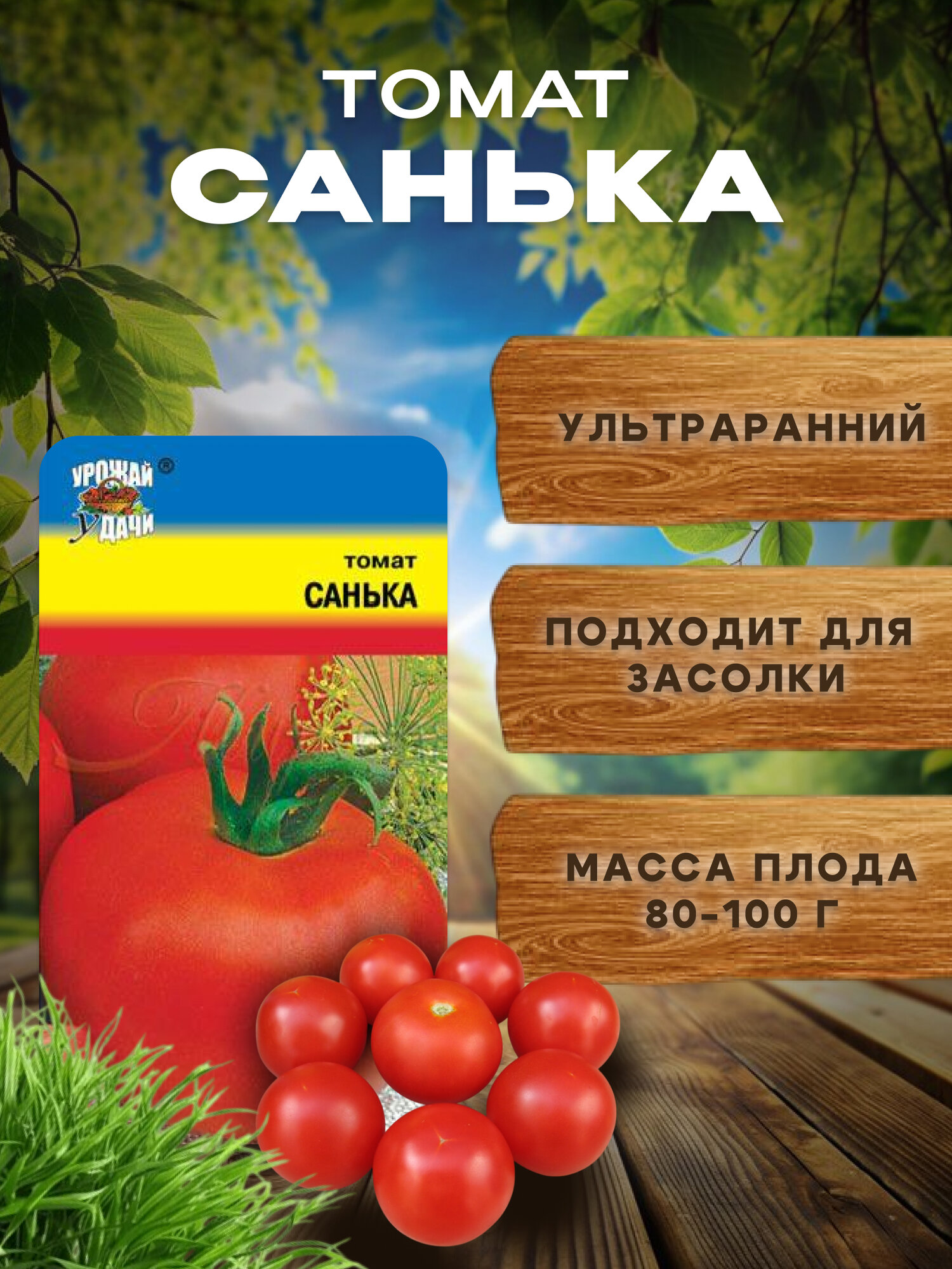Семена низкорослых томатов для теплицы и открытого грунта Санька.