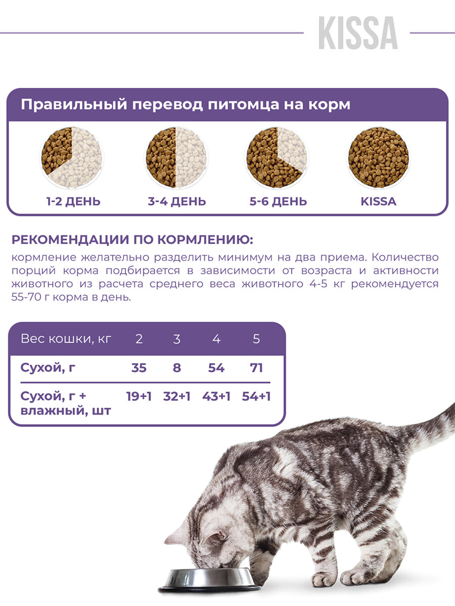 Сухой корм KISSA для стерилизованных кошек от 1 года, с телятиной, 750 г — фото 1
