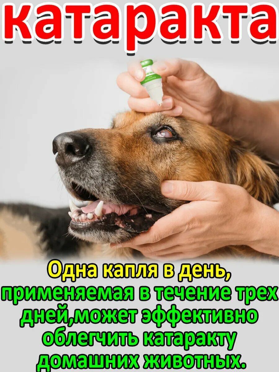 Капли от катаракты для Собаки кошки20мл