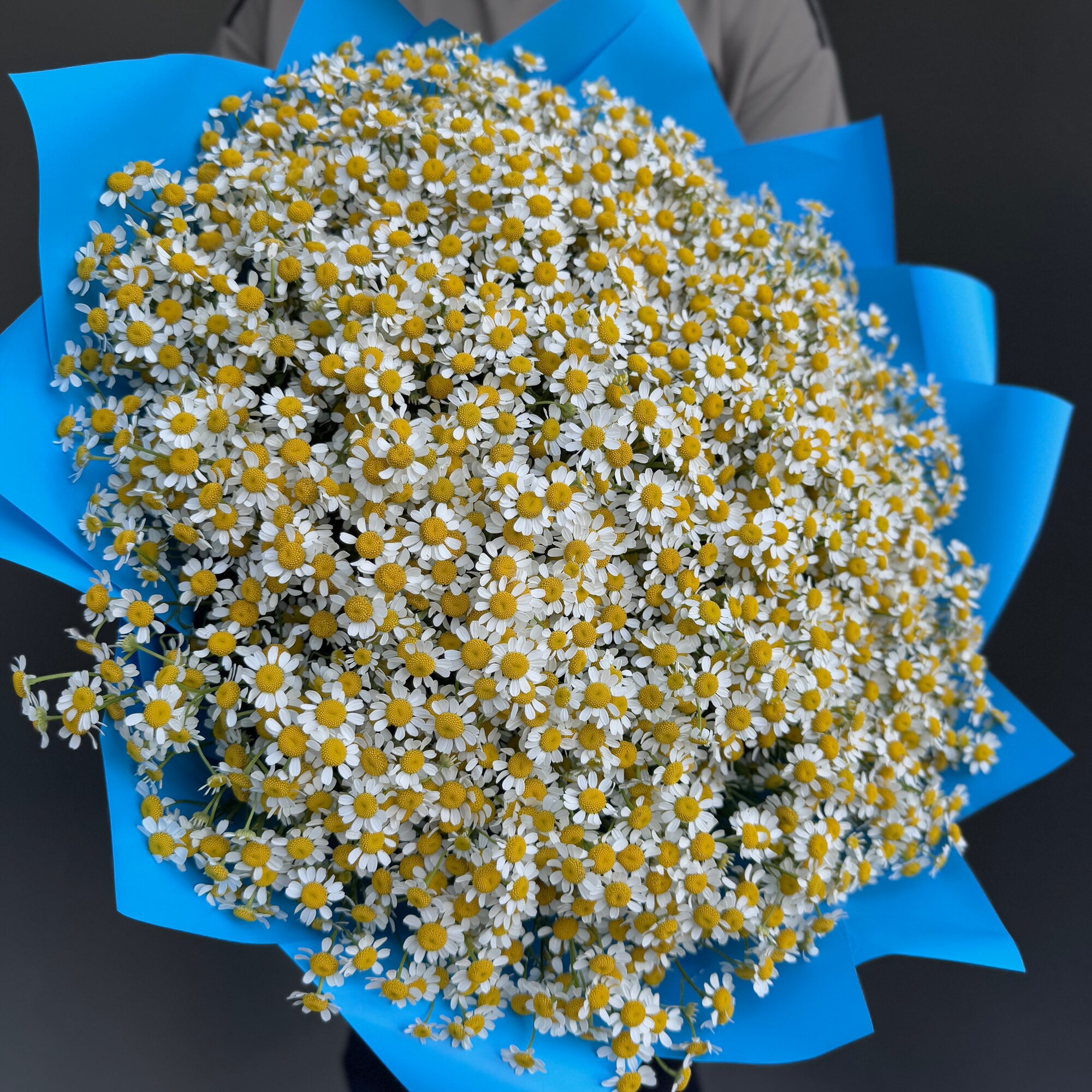 Ромашки 21 шт (на фото 40шт) обновленная упаковка арт. 02510975 - Просто роза ру st hi npo kr ak