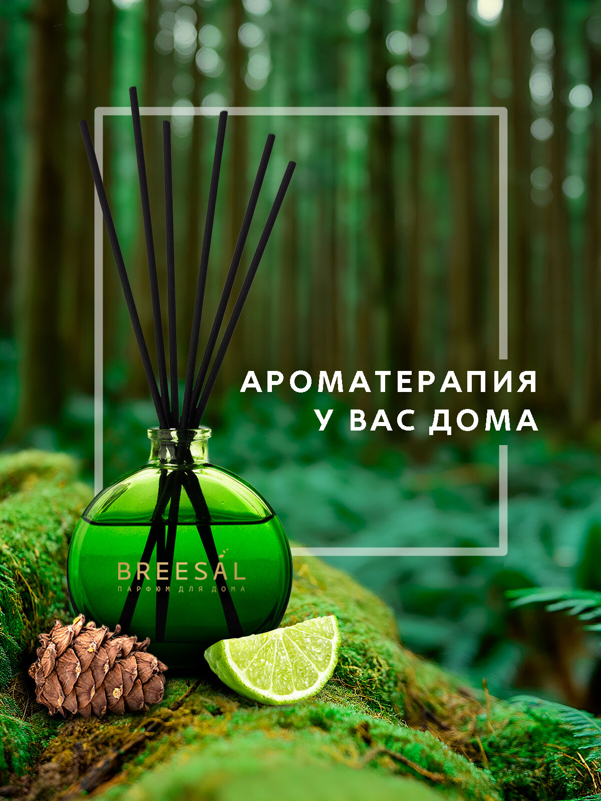 Диффузор для дома с палочками Breesal Arome Sticks Ароматизатор для дома, Жизненная энергия 70 мл — фото 1
