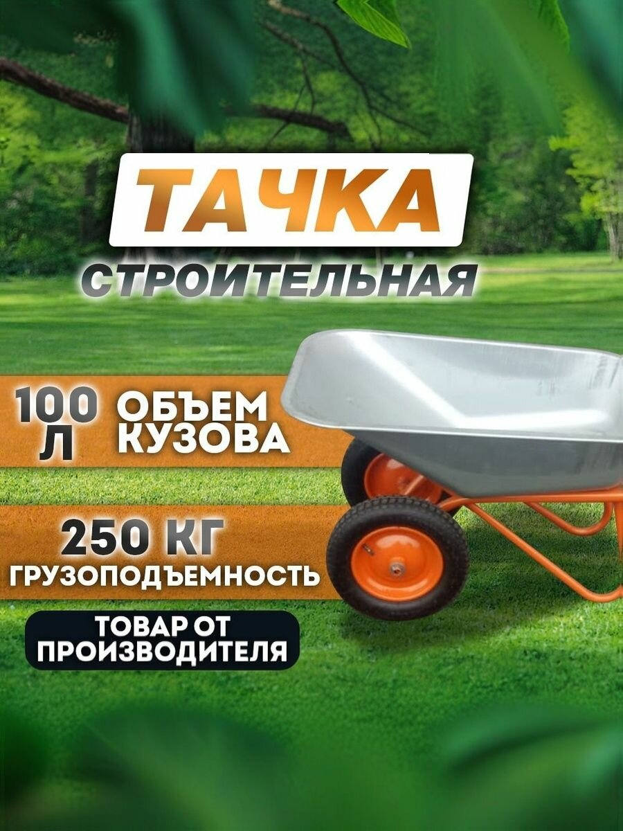Тачка садовая / строительная двухколесная 250кг 100 л 19882 (WB5009MS2/100/14/23 БТМ)
