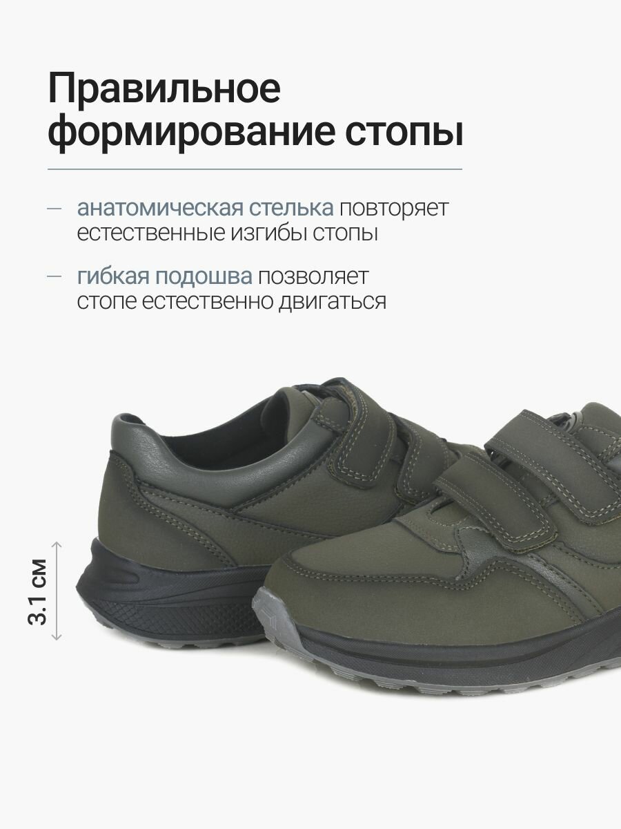 Сапоги T.Taccardi