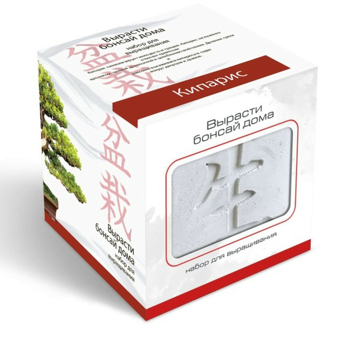 Подарочный набор для выращивания Экоклуб  Вырасти Бонсай дома  Кипарис 