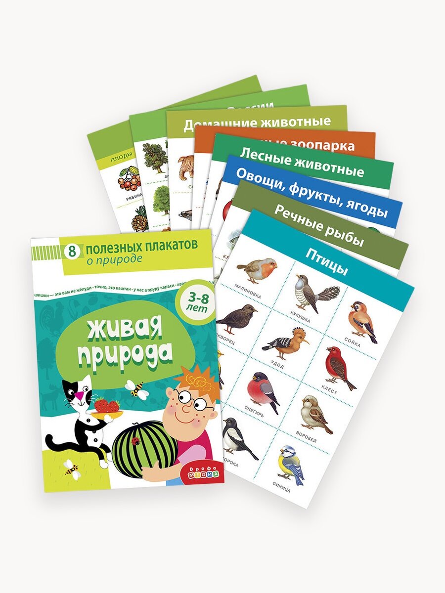 Плакаты Дрофа-Медиа "Живая природа", 8шт, для детей от 3 лет
