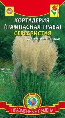 Кортадерия (Пампасная Трава) серебристая 01г/ Плазма