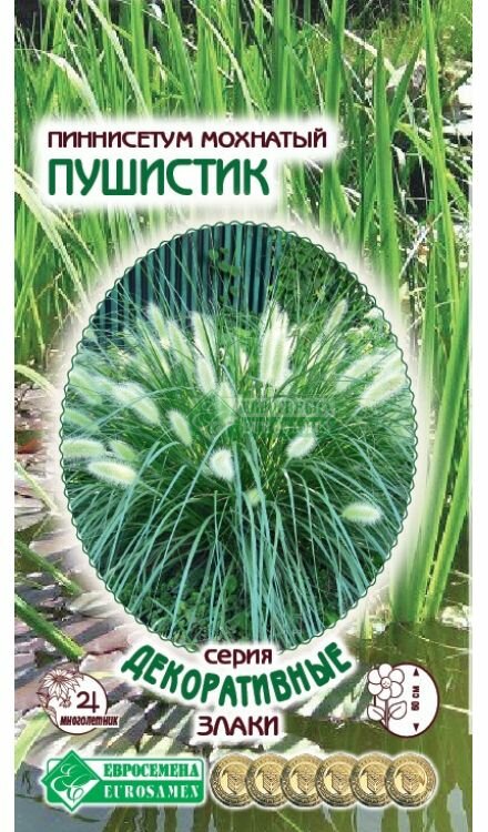 Пеннисетум мохнатый пушистик /5 семян х 1 упаковка /Евросемена