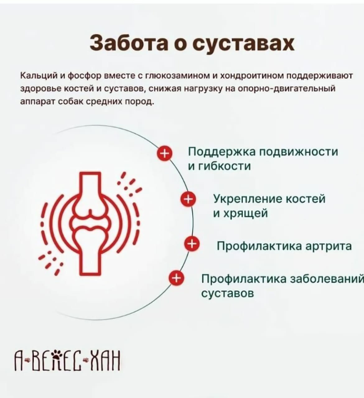Корм для собак "супер премиум класса", говядина/ягненок, для средних пород, 15 кг — фото 1