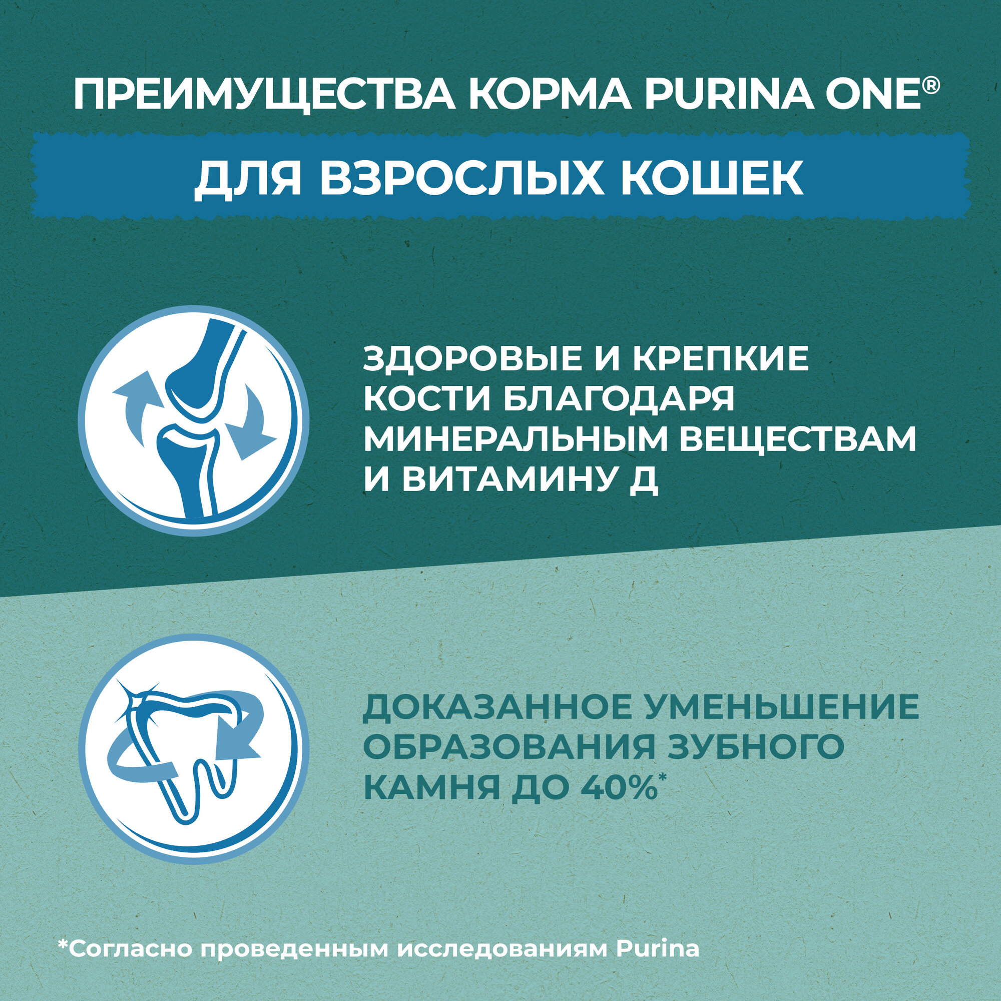 Сухой корм PURINA ONE® Природа Здоровья® для взрослых кошек с индейкой, 680 г — фото 1