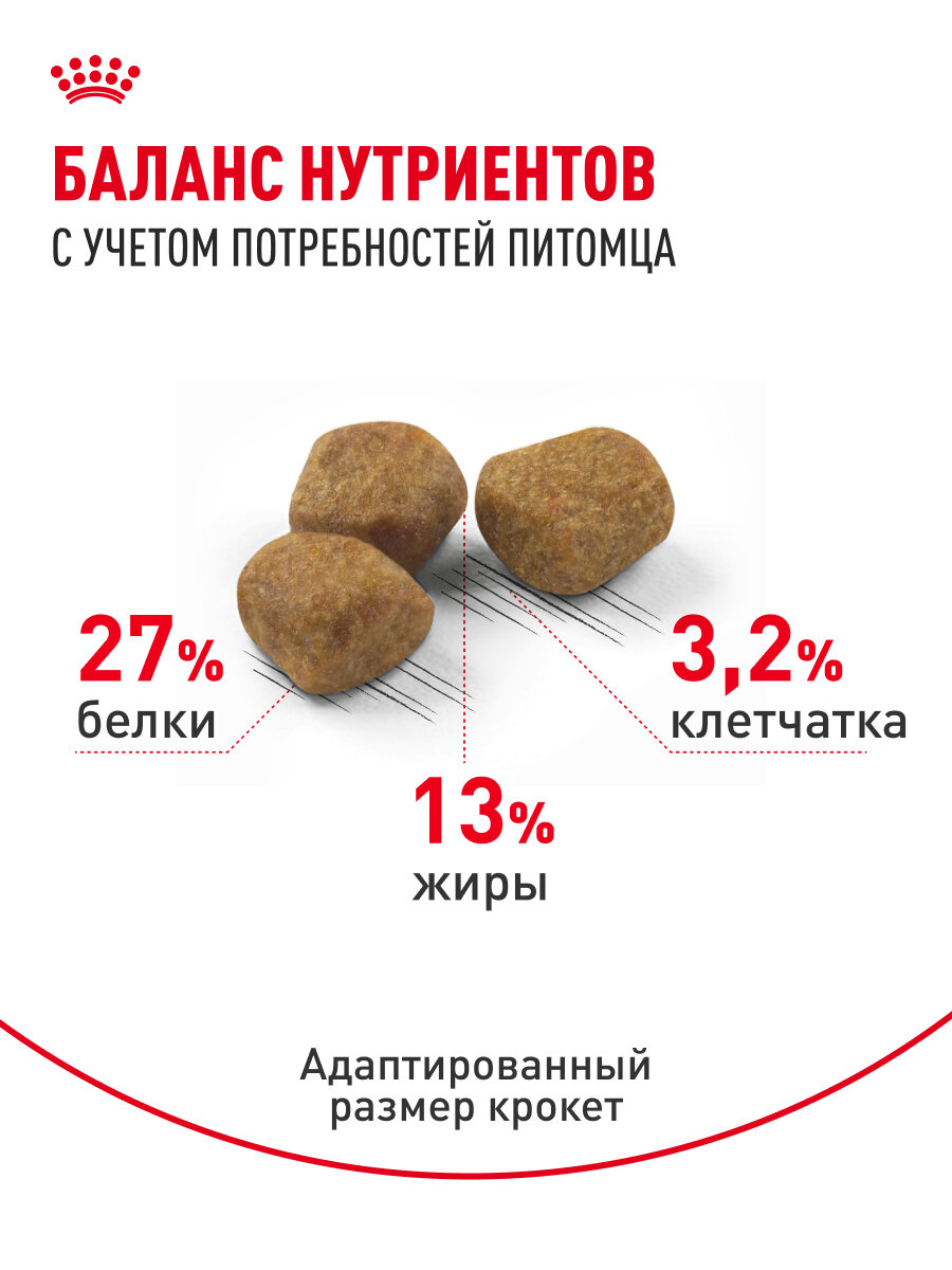 Сухой корм для кошек Royal Canin Indoor 7+ для живущих в помещении, 0,4 кг — фото 1