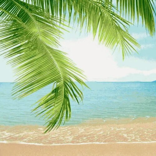 Изображение товара Ковер для комнаты на пол, палас в гостиную, Ред Си, 160х235, 60Х, зеленый