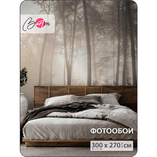 фото Фотообои на стену флизелиновые 3d природа туманный лес 300х270 см bartonwall n018 barton wallpapers