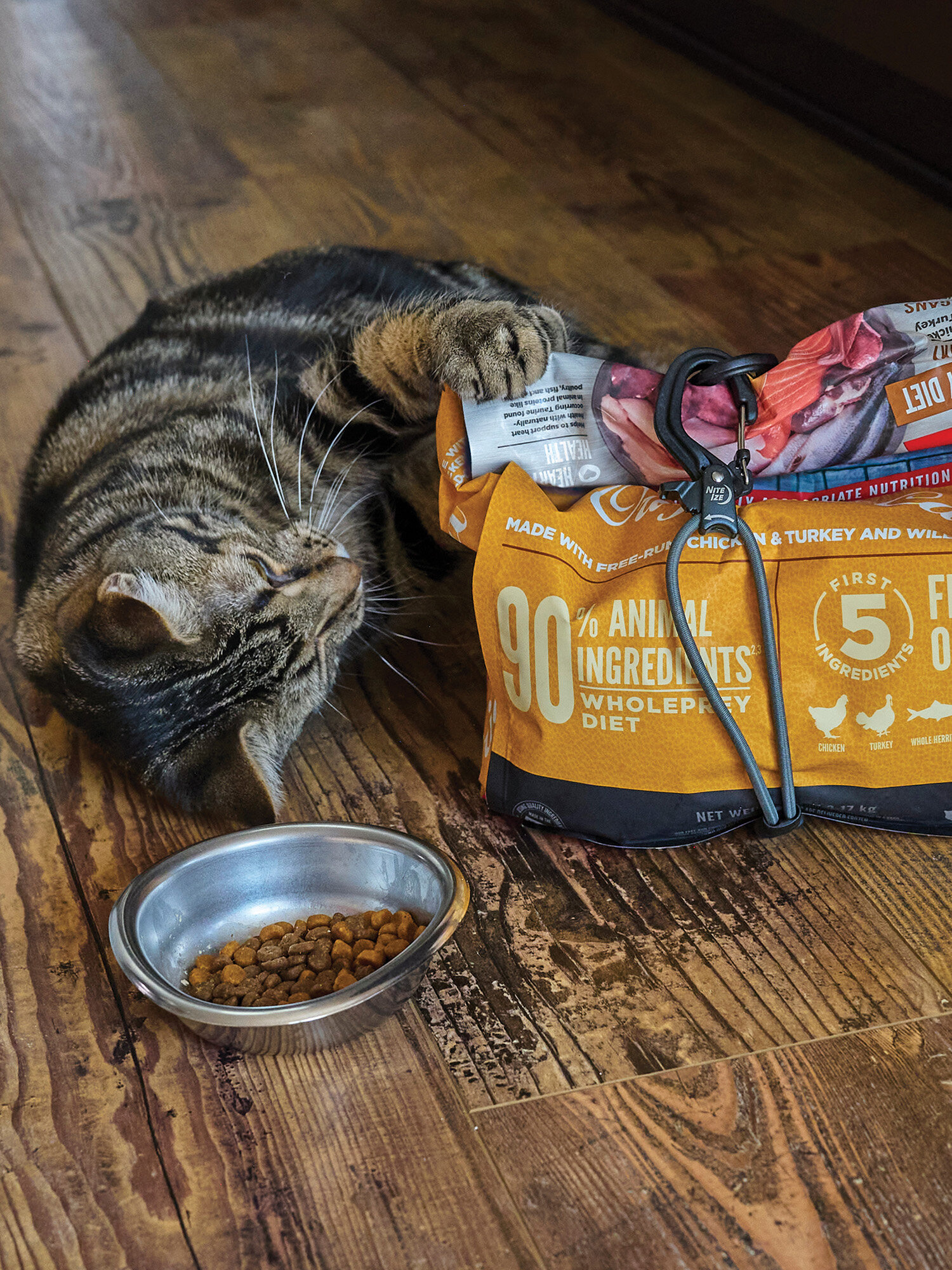 Эластичное крепление с карабином Nite Ize CamJam SlideLock Adjustable Bungee — фото 1