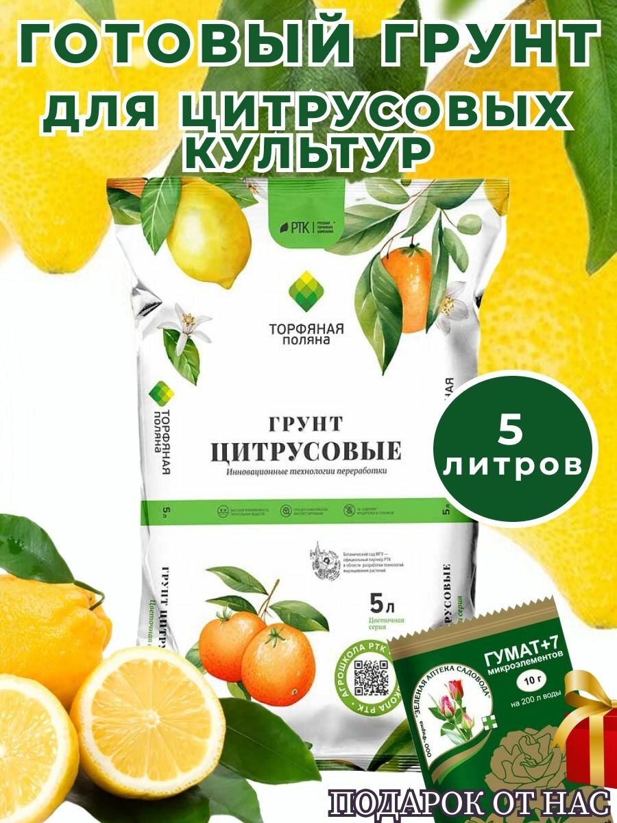 Грунт 