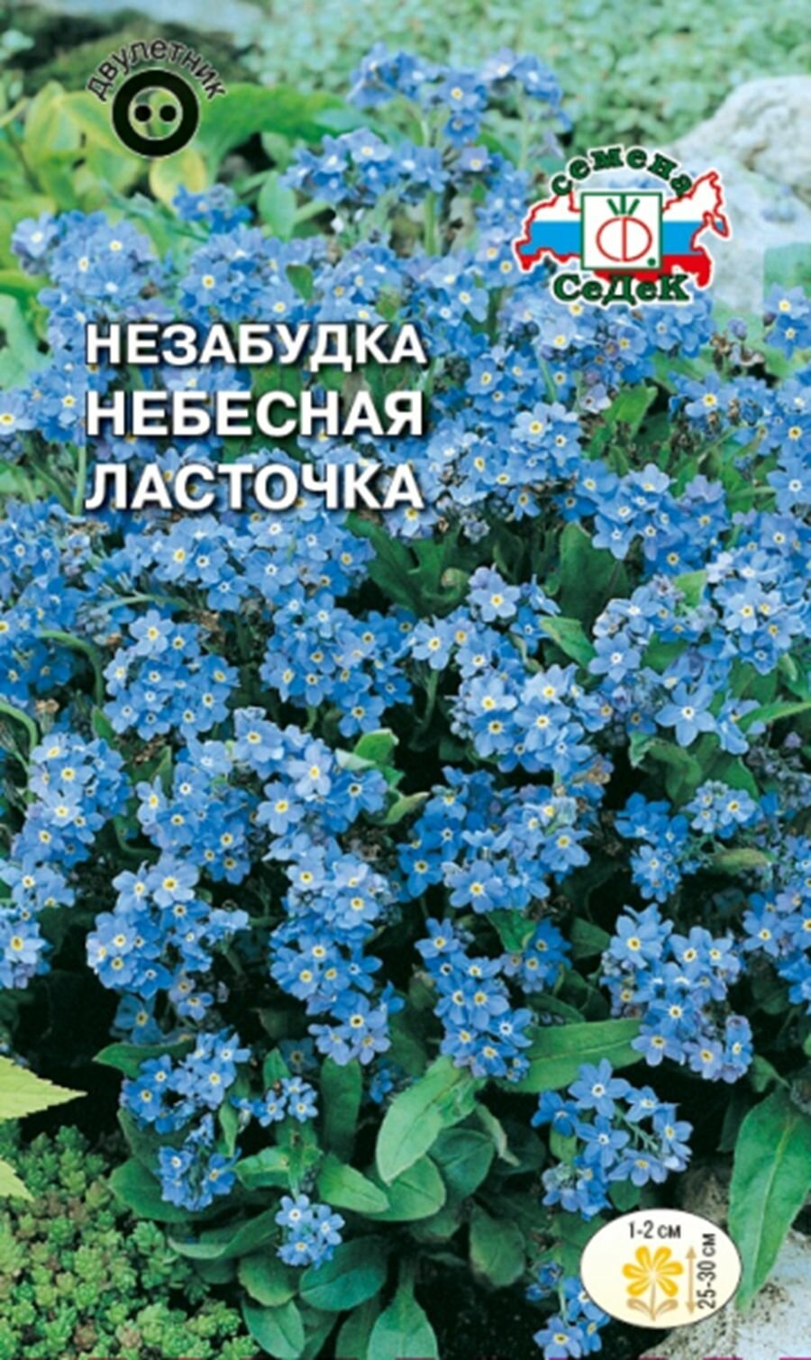 Незабудка Небесная ласточка (альпийская голубая) 01г /Седек