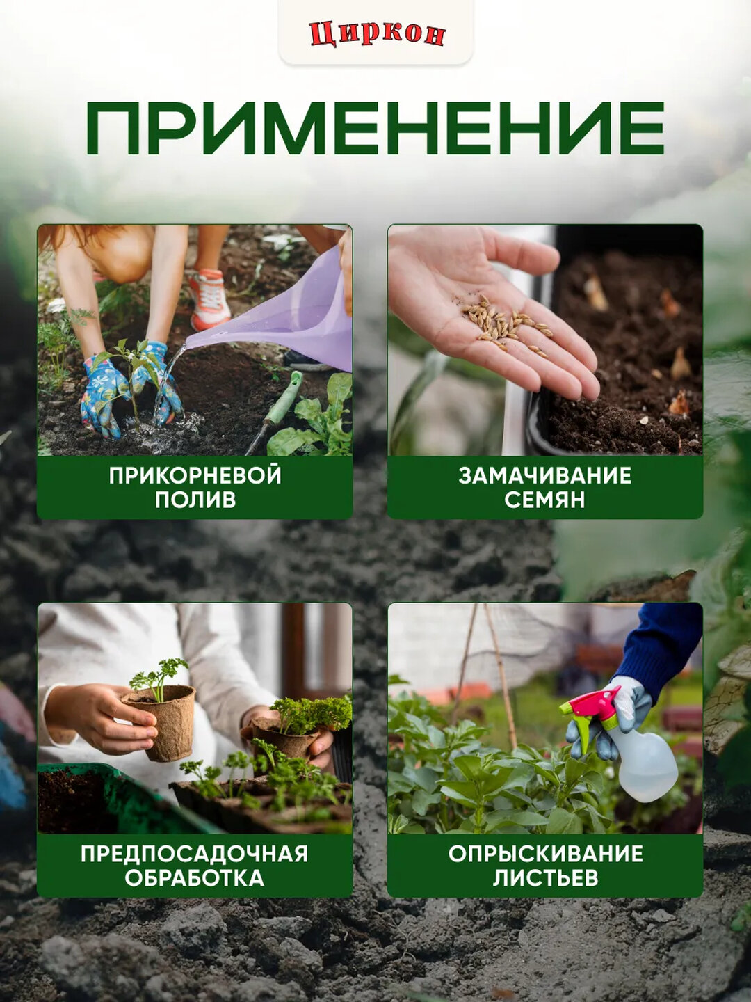 Циркон — биорегулятор роста для ваших растений: надёжная защита, здоровье и сила — фото 1