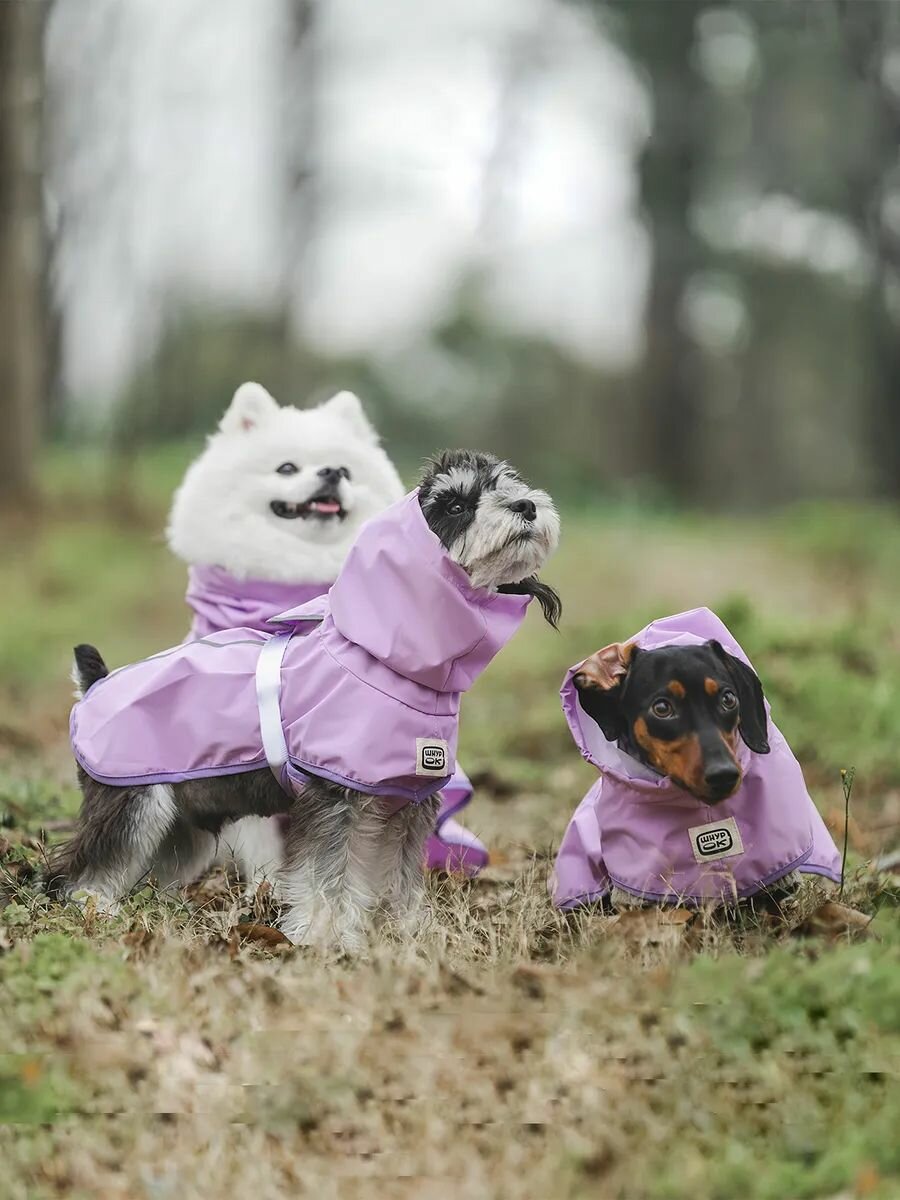 Дождевик попона для собак с рисунками при намокании