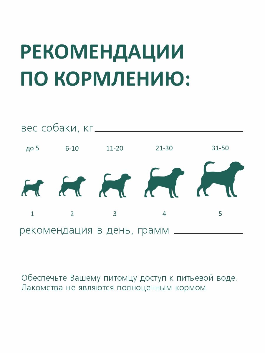 Курьер в синей униформе передаёт коробку с лакомствами TiTBiT хозяйке с собакой на пороге дома