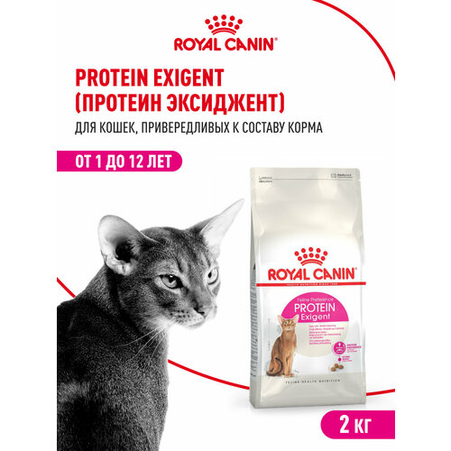 Корм сухой сбалансированный Royal Canin Protein Exigent (Протеин Экзиджент) для привередливых взрослых кошек от 1 года, 2 кг