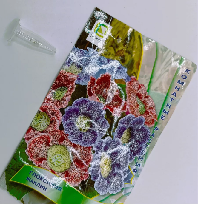 Семена ПОИСК Глоксиния Sinningia Hybrida " Жаклин ", микс, 5шт. — фото 1