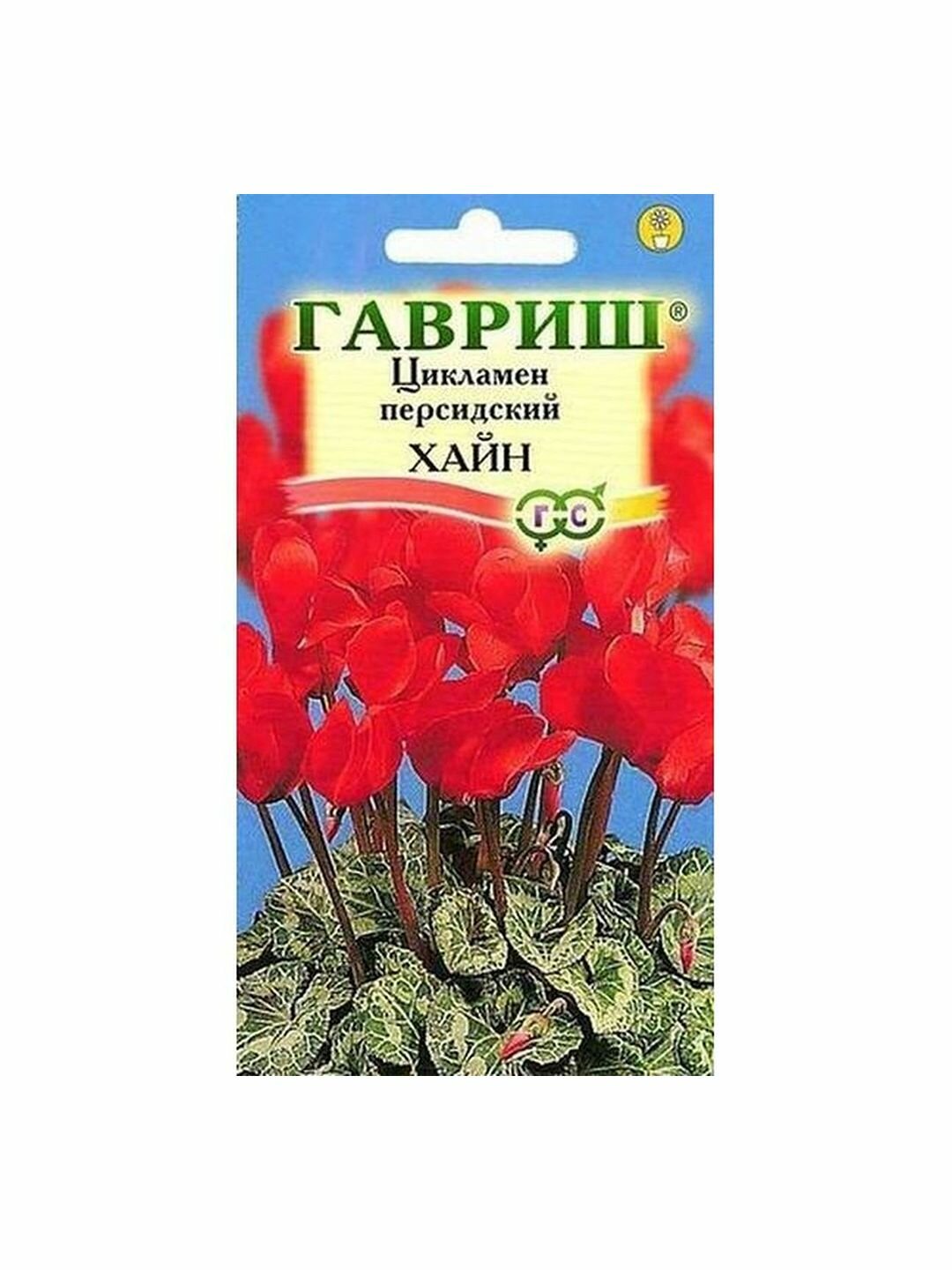 Семена Цикламен Хайн многолетние комнатные Гавриш 1 пачка - 3 семя