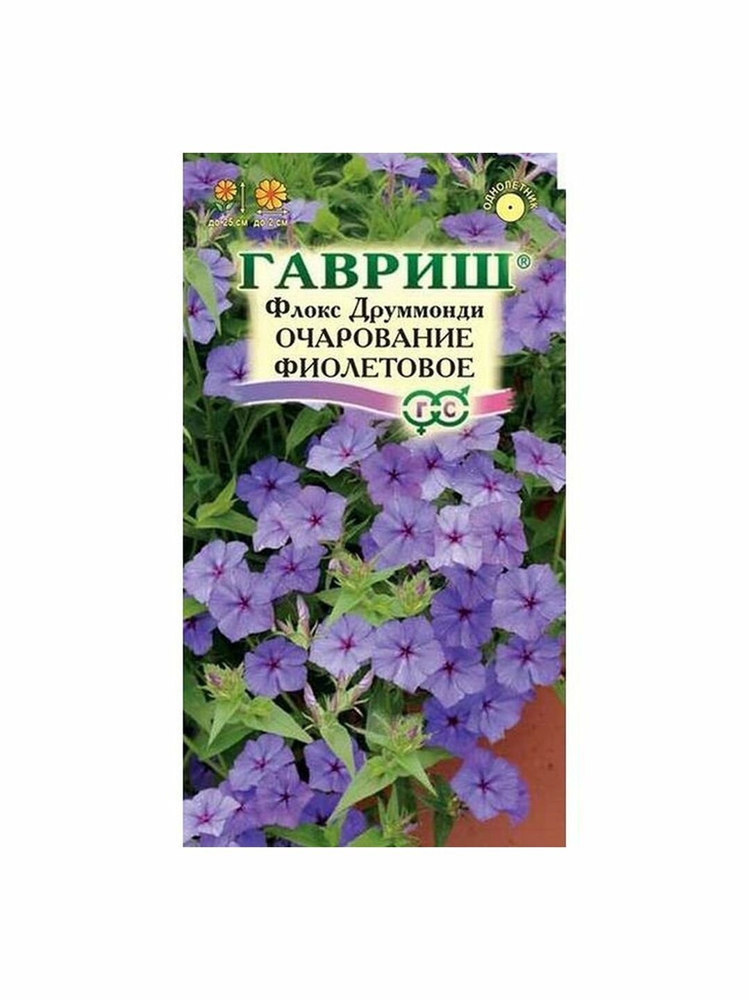 Семена Флокс Очарование фиолетовое друммонда однолетник Гавриш 1 пачка - 0.05г семян