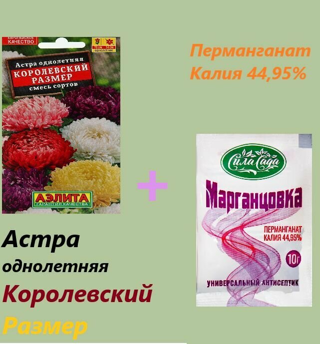 Семена цветов Астра 