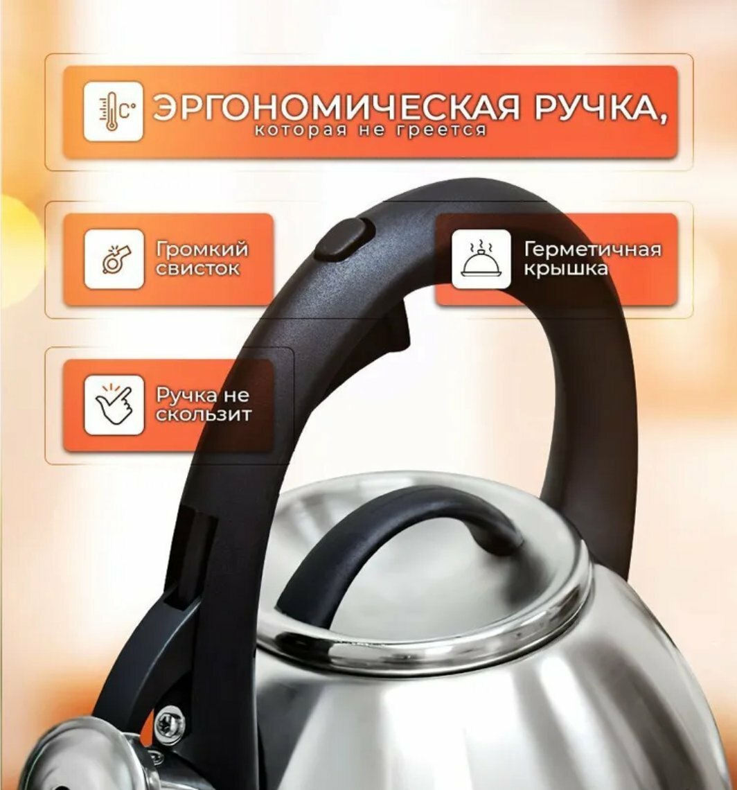 Чайник со свистком Zepter, нержавеющая сталь, 3,5 л, серебристый