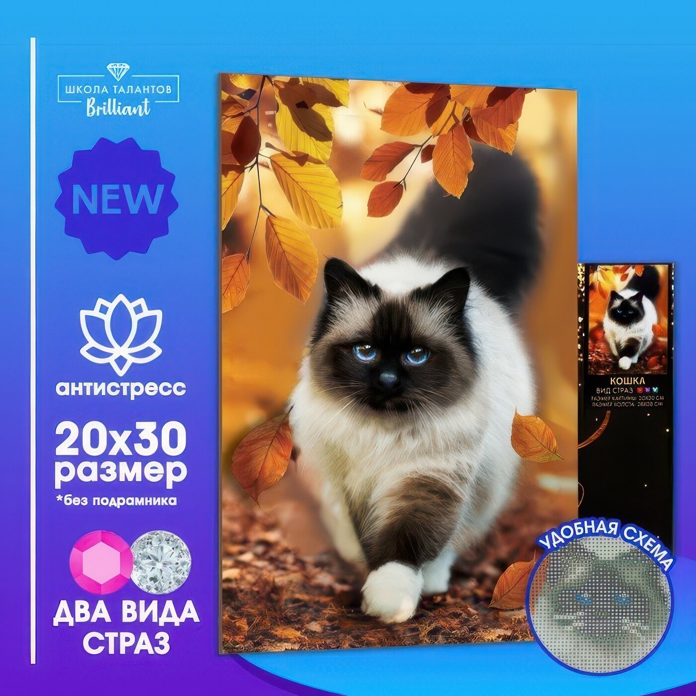 Алмазная мозаика с полным заполнением Школа талантов «Кошка» 20х30 см