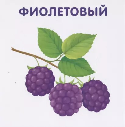 Книжки-картонки. Цвета в природе — фото 1