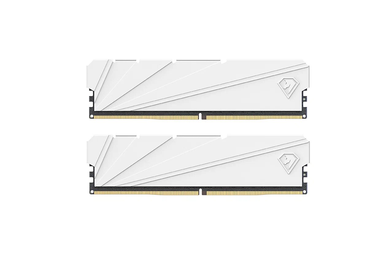 Оперативная память Netac Shadow S, 16 ГБ (8 ГБx 2), DDR4-3200, C16, белый (NTSSD4P32DP-16W)